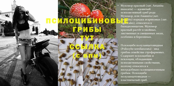 альфа пвп Володарск