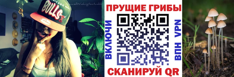 Псилоцибиновые грибы MAGIC MUSHROOMS  площадка телеграм  Железногорск 